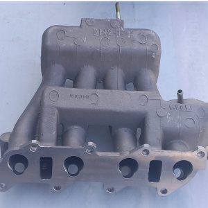 مانیفولدهوا - کارو