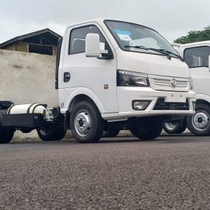 کاریزان 3/8 تن -دوگانه سوز