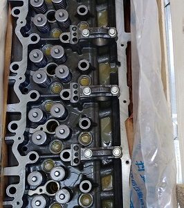 سرسیلندرفاو کشنده