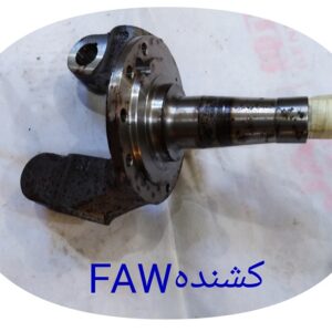 سگدست فاوکشنده