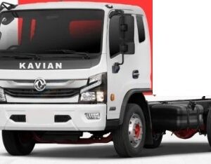 کاریزان 6 تن